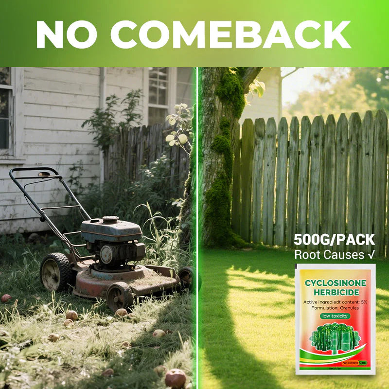Cyclosinone Herbicide Granules ( Pack Of 2 )